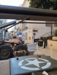 2025-gatbeausoleill0019